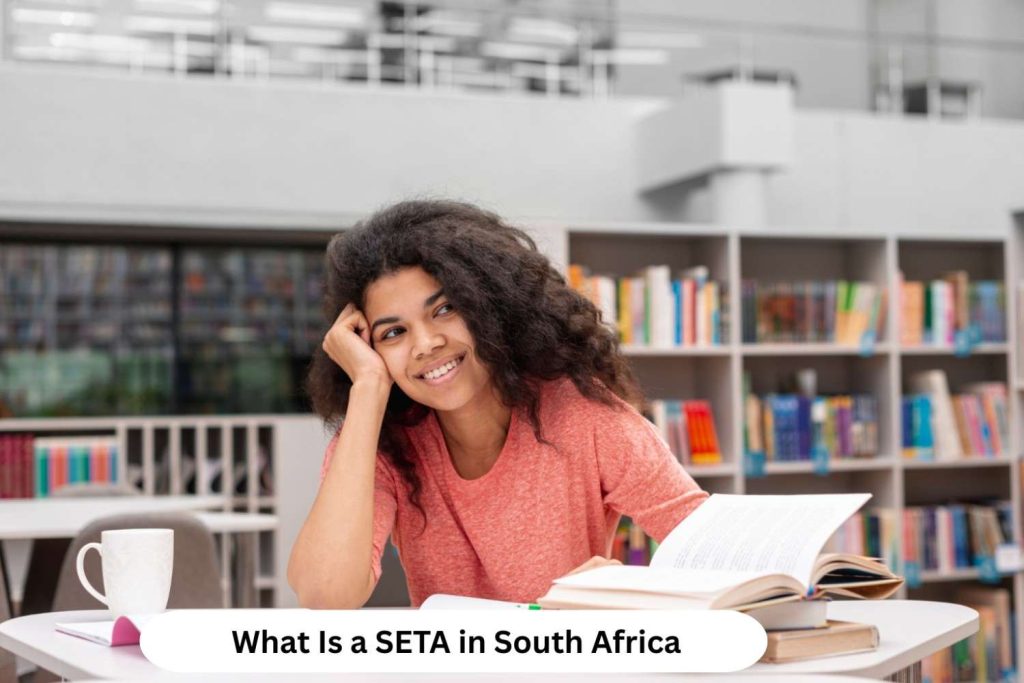 What Is a SETA in South Africa